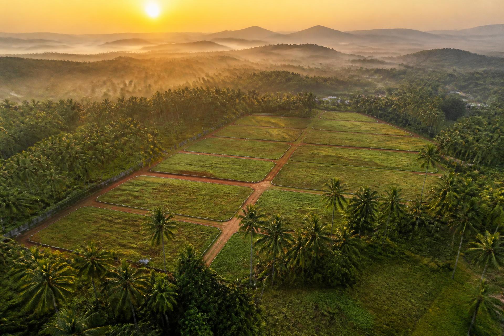 Aerial view of premium land plots in Kerala at golden hour
